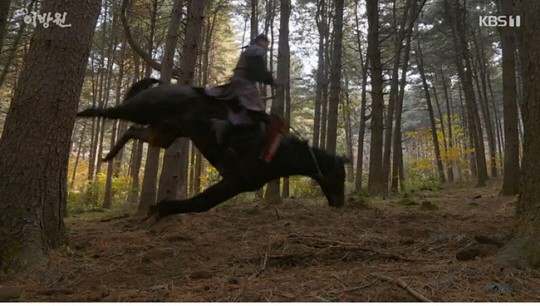 韩剧涉嫌虐待动物案移交检方 骑马绊倒致马匹死亡
