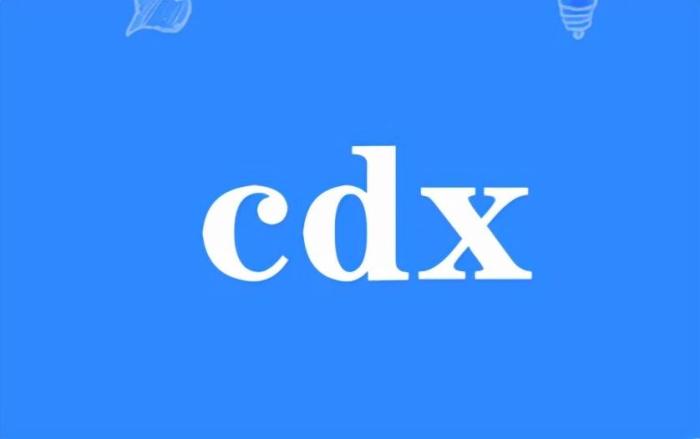 xdc网络污语什么意思（cdx是什么意思的缩写？）