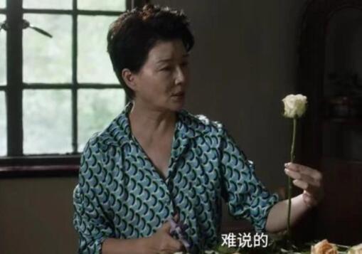 小舍得南俪妈妈怎么了得了什么病 赵娜为什么叫长公主结局如何