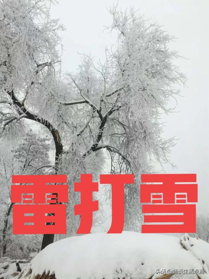 雷打雪是什么预兆（雷打雪谚语怎么说）