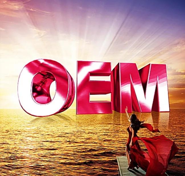什么是OEM产品代工模式(OEM、ODM、OBM分别是什么)