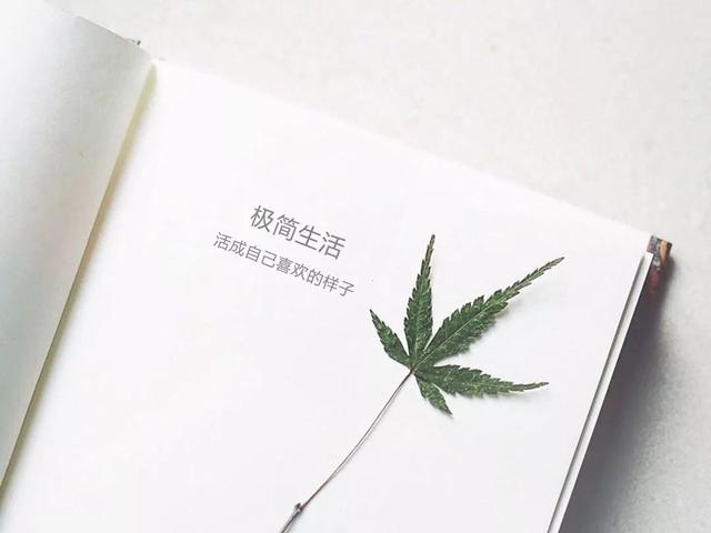 闲置品太多别急着扔！这5个二手平台可以快速回血，学会赚不少钱