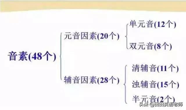 英语英标表48个音标发音表读法（零基础英语带你学会国际48个音标）(3)