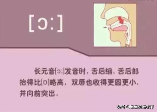 英语英标表48个音标发音表读法（零基础英语带你学会国际48个音标）(12)