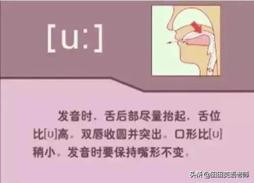 英语英标表48个音标发音表读法（零基础英语带你学会国际48个音标）(15)