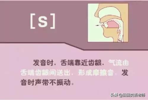 英语英标表48个音标发音表读法（零基础英语带你学会国际48个音标）(38)