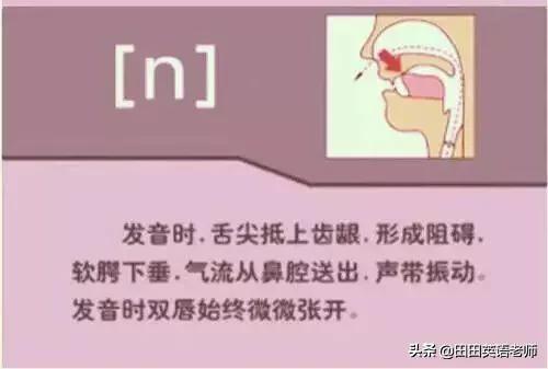 英语英标表48个音标发音表读法（零基础英语带你学会国际48个音标）(54)