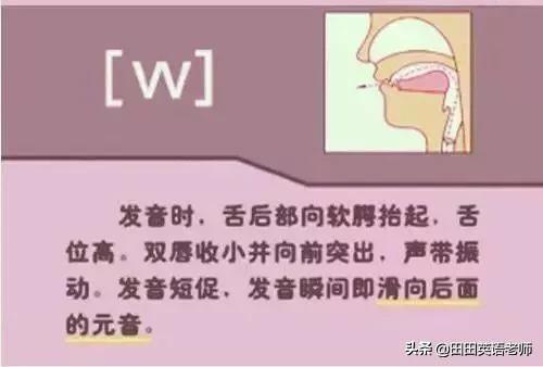 英语英标表48个音标发音表读法（零基础英语带你学会国际48个音标）(57)