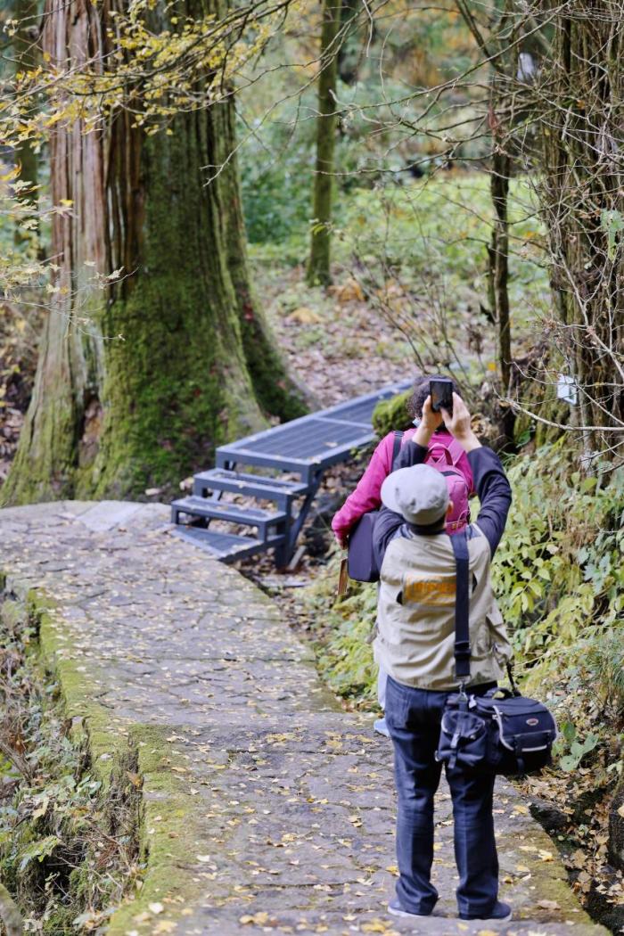 天目山在哪里属于哪个省（天目山旅游景点攻略）