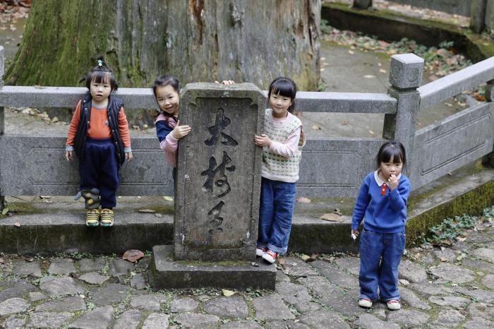 天目山在哪里属于哪个省（天目山旅游景点攻略）