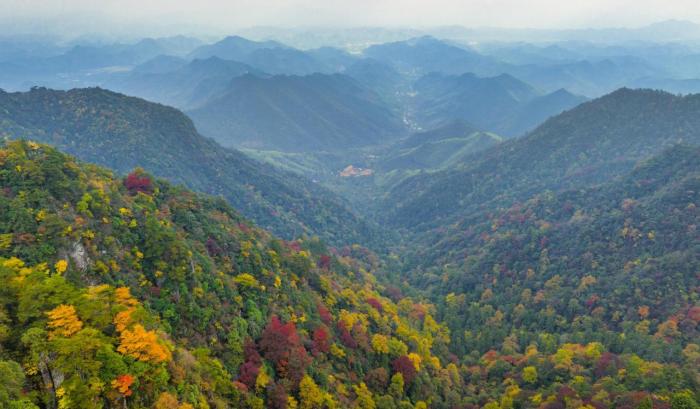 天目山在哪里属于哪个省（天目山旅游景点攻略）