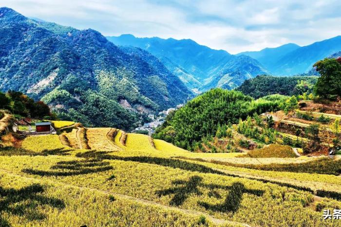 天目山在哪里属于哪个省（天目山旅游景点攻略）